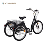 GW7019E 3 wheel electric tricycle