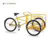 UB9033 Single Speed 3 wheel bicycle for adults