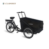 UB9036E Family Electric Cargo Bikes for Children