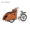 UB9043E Electric Cargo Bike Used for Carrying Old People