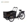 9019E-6S three wheel electric cargo bike