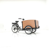 UB9040E-6S Denmark Popular Electric Bicycle Kids Cargo Trailer with Three Wheel